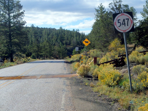 GDMBR: San Mateo Spring to Grants, New Mexico.